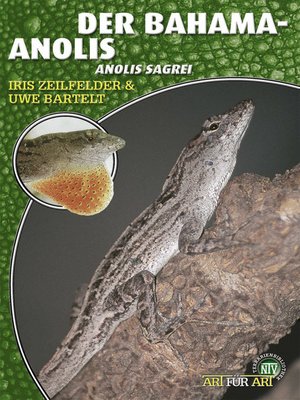 cover image of Der Bahama-Anolis